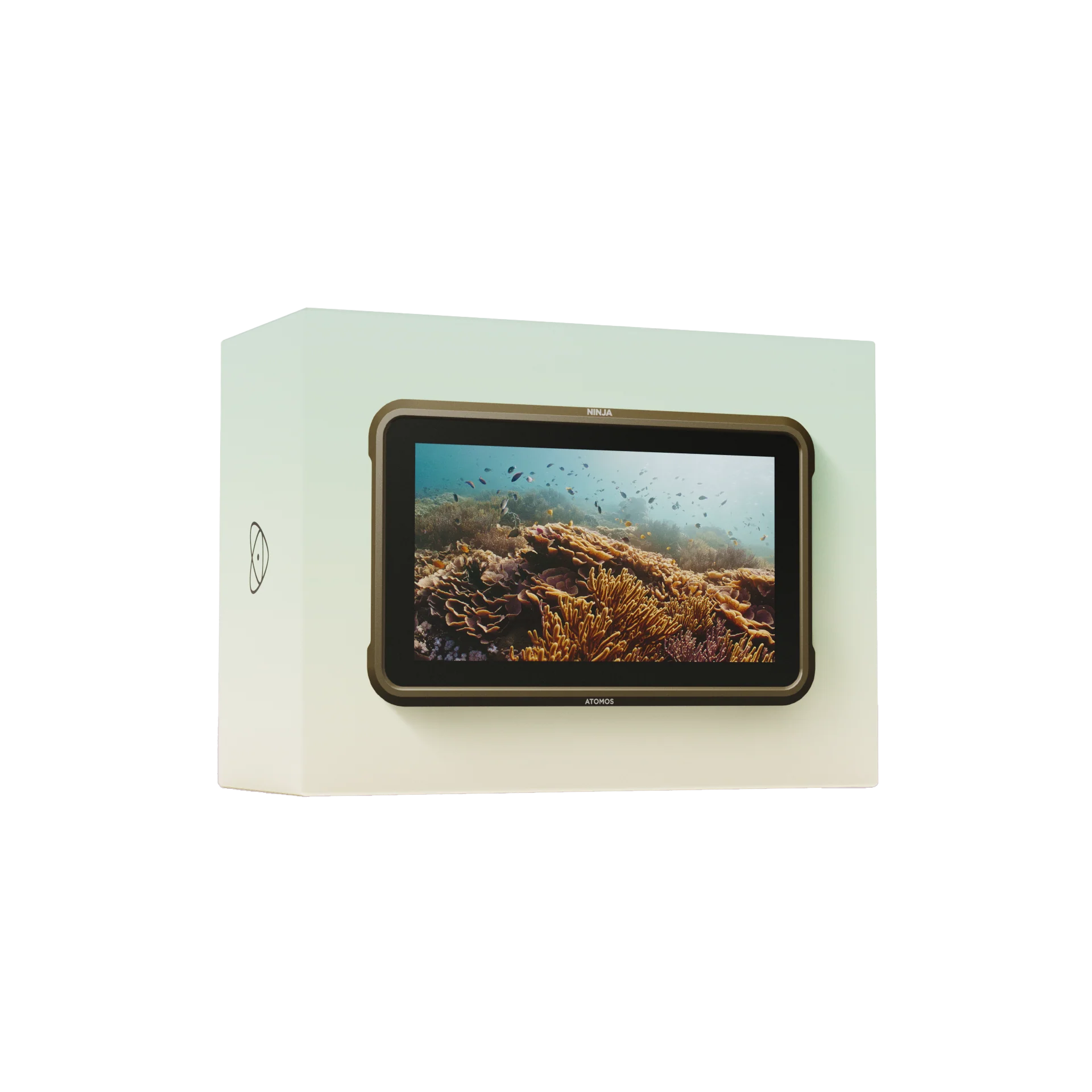 Atomos Ninja 5-Inch, 1000nit HDR Monitor-Recorder for DSLR and Mirrorless Cameras - Image 3